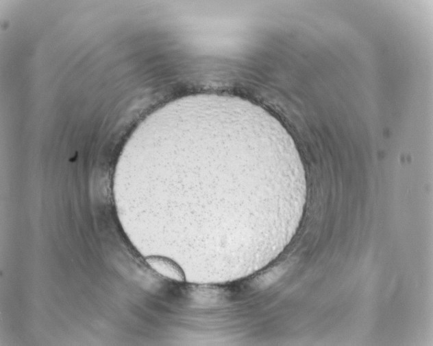 X0000088020336200706011330