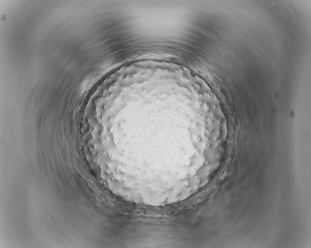 X0000088020337200706011330