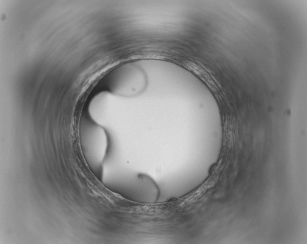 X0000088020338200706011330