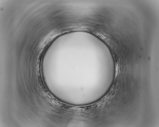 X0000088020339200706011330