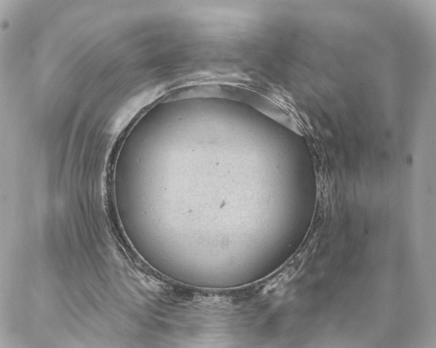 X0000088020340200706011330