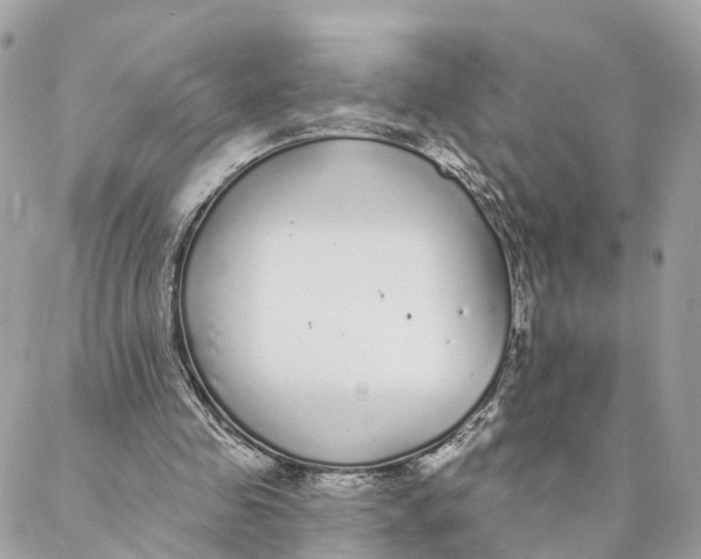 X0000088020341200706011330