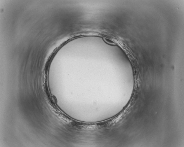 X0000088020342200706011330