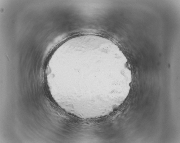 X0000088020343200706011330