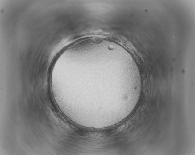 X0000088020344200706011330