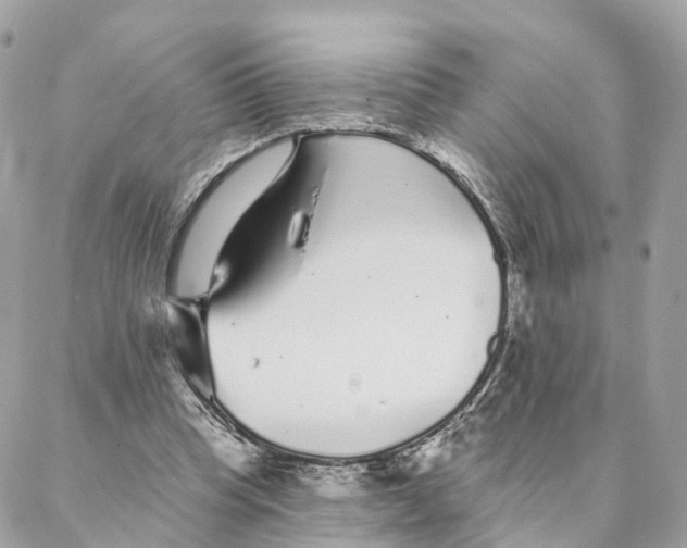 X0000088020345200706011330