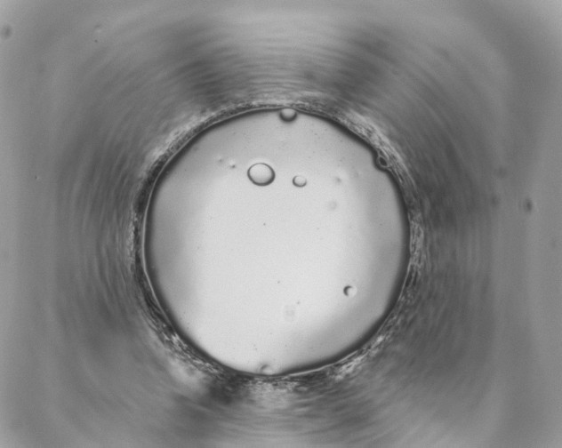 X0000088020346200706011330