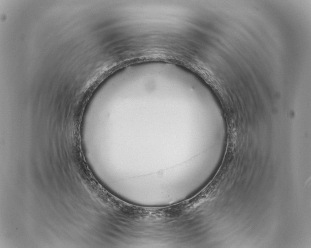 X0000088020347200706011330