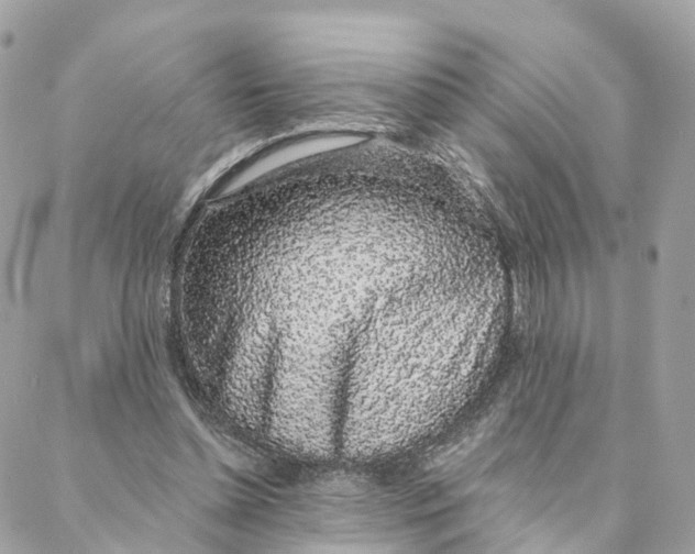 X0000088020348200706011330