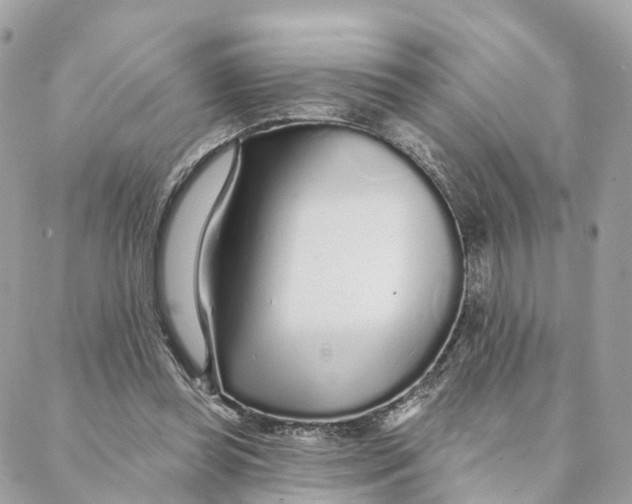 X0000088020349200706011330