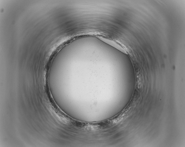 X0000088020350200706011330