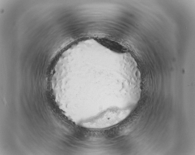 X0000088020351200706011330