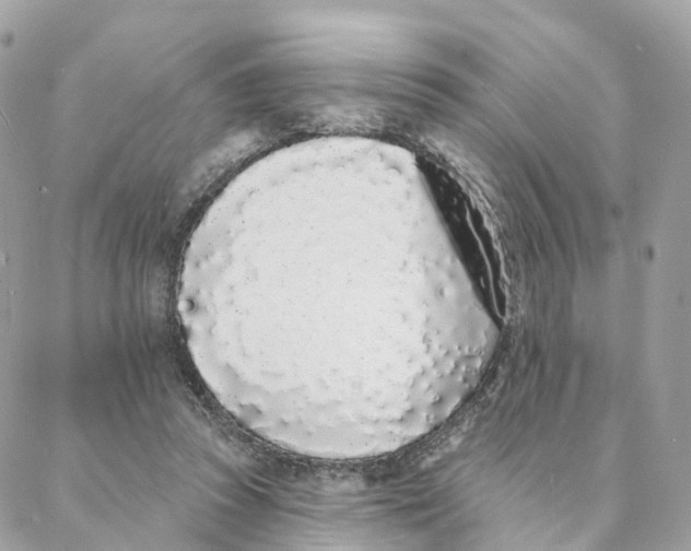 X0000088020353200706011330