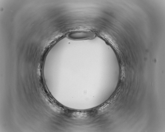 X0000088020354200706011330