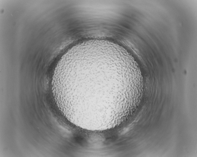 X0000088020355200706011330