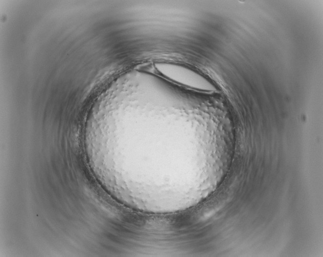 X0000088020357200706011330