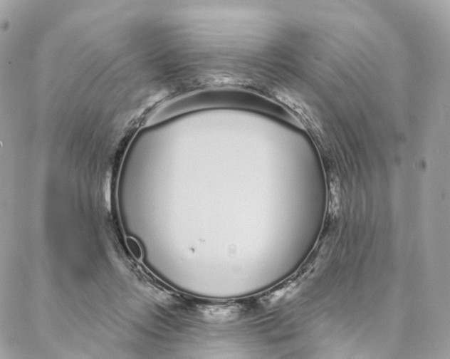 X0000088020358200706011330