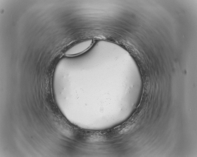 X0000088020359200706011330