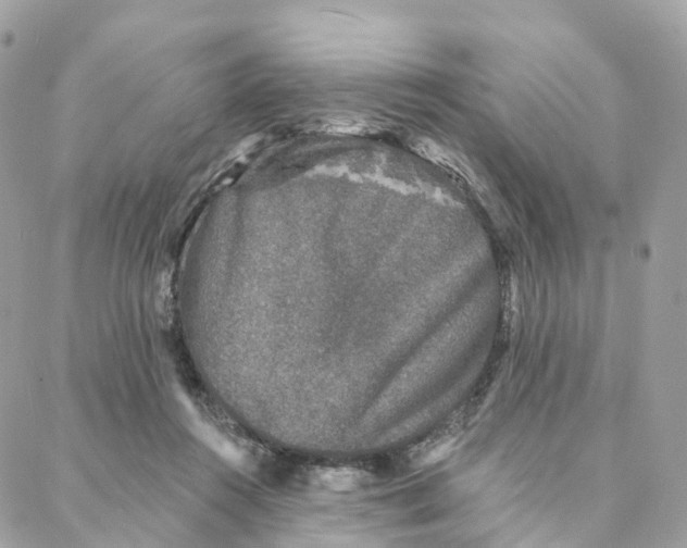 X0000088020360200706011330