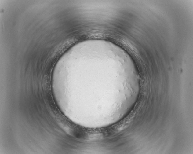 X0000088020361200706011330