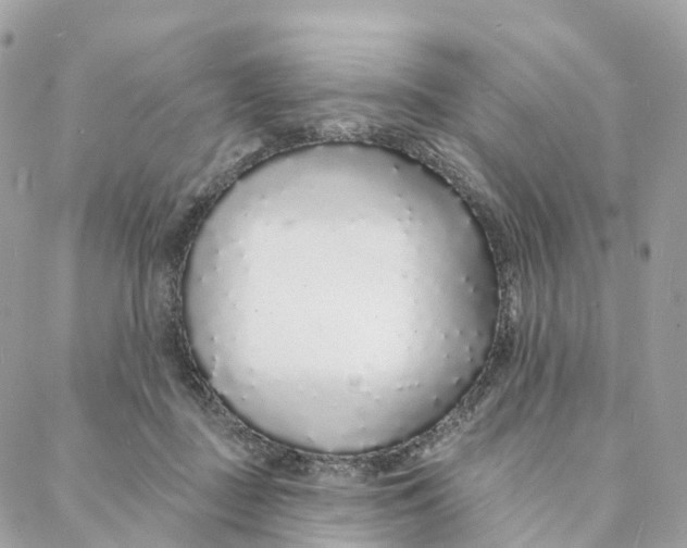 X0000088020363200706011330