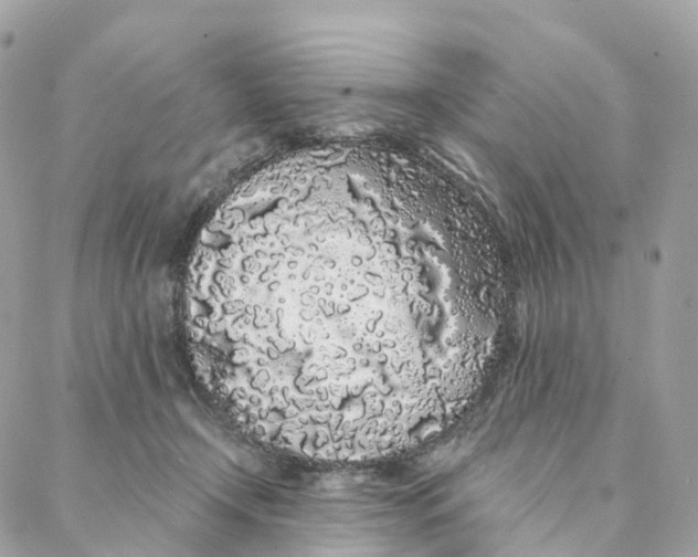 X0000088020366200706011330