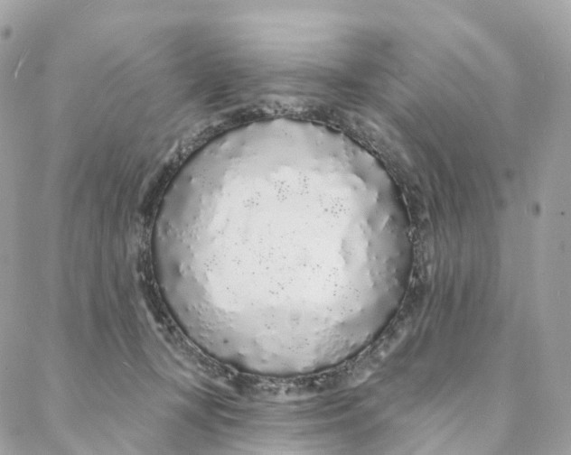 X0000088020367200706011330