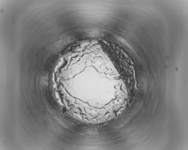 X0000088020368200706011330