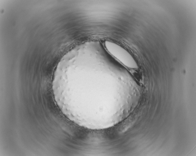 X0000088020369200706011330