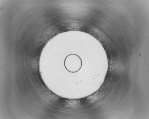 X0000088020370200706011330