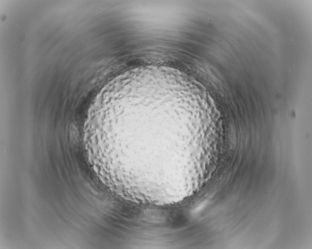 X0000088020371200706011330