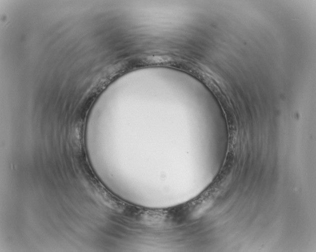 X0000088020373200706011330