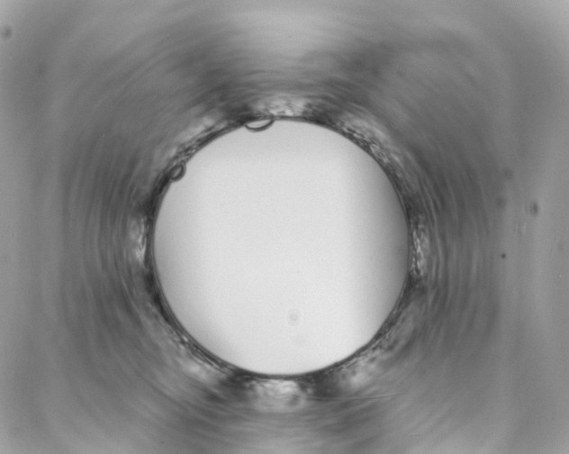 X0000088020374200706011330