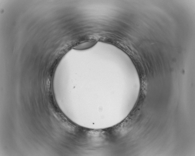 X0000088020375200706011330