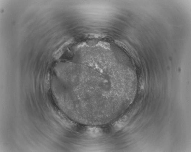 X0000088020376200706011330