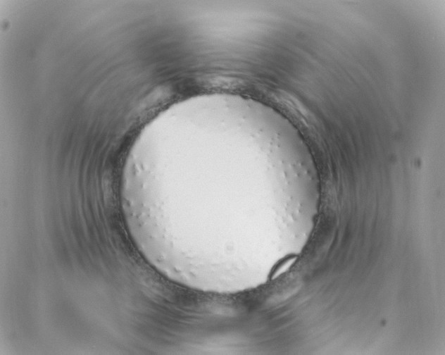 X0000088020377200706011330