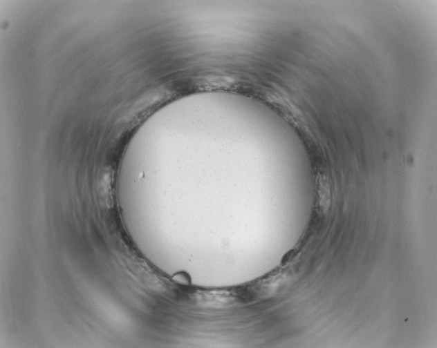 X0000088020378200706011330