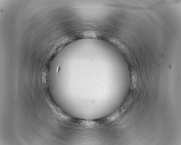 X0000088020379200706011330