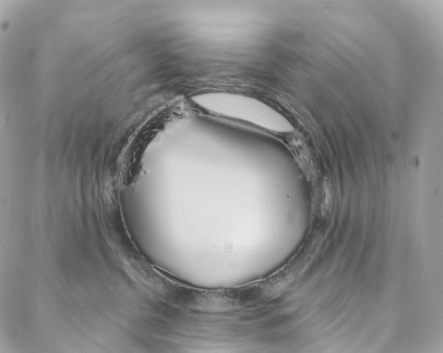 X0000088020380200706011330