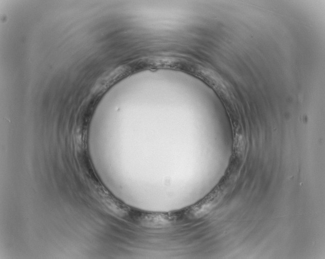 X0000088020381200706011330