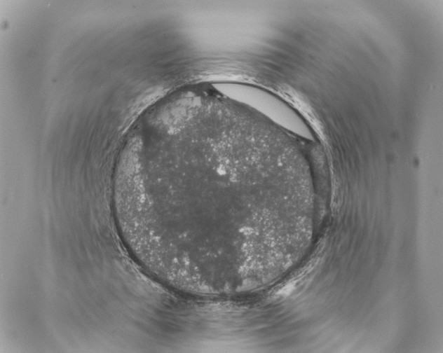 X0000088020385200706011330