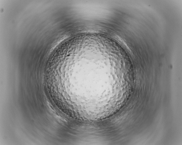 X0000088020386200706011330