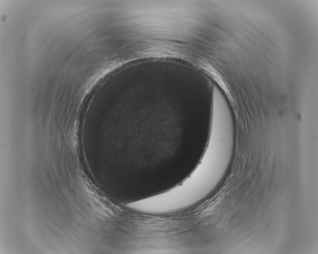 X0000088020387200706011329