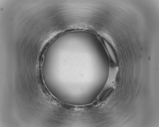 X0000088020388200706011329