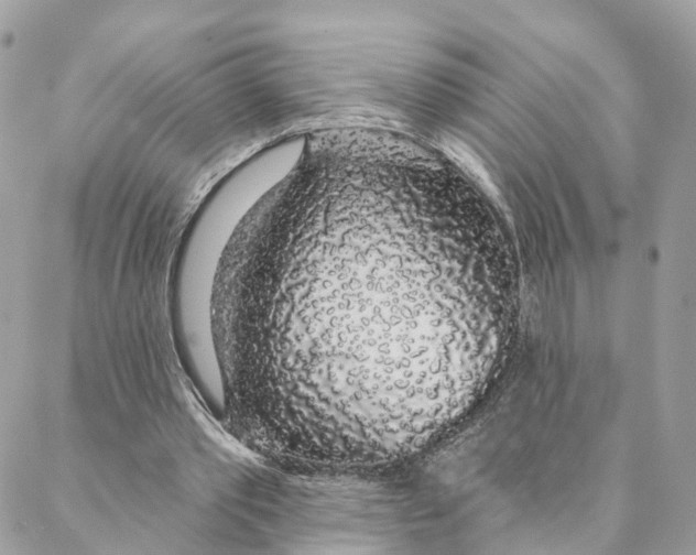 X0000088020389200706011329