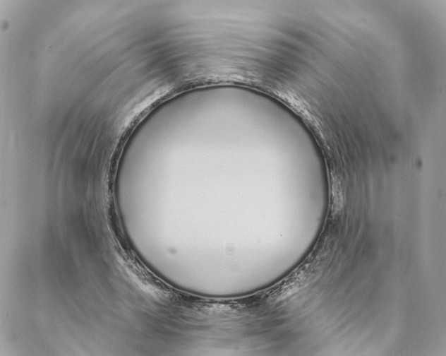 X0000088020390200706011329