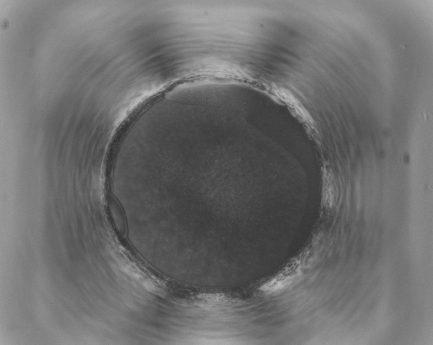 X0000088020391200706011329