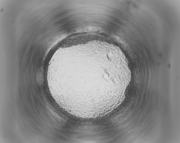 X0000088020392200706011329