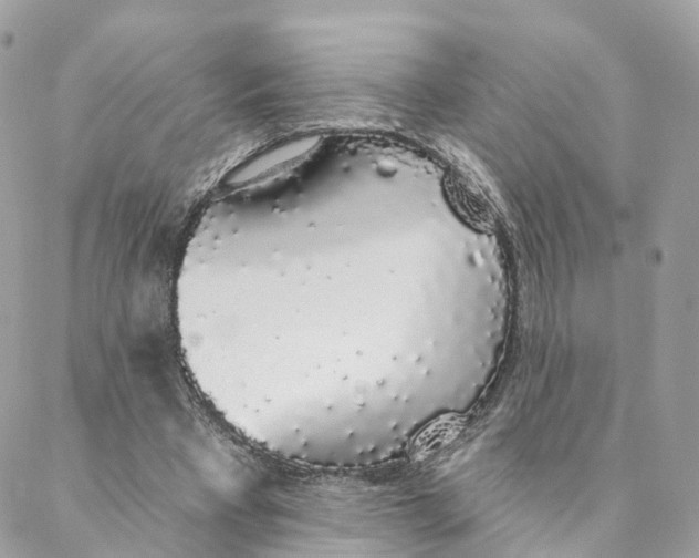 X0000088020393200706011329