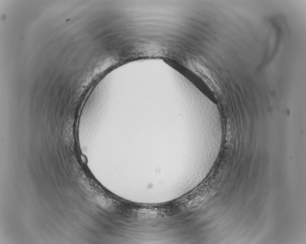 X0000088020394200706011329